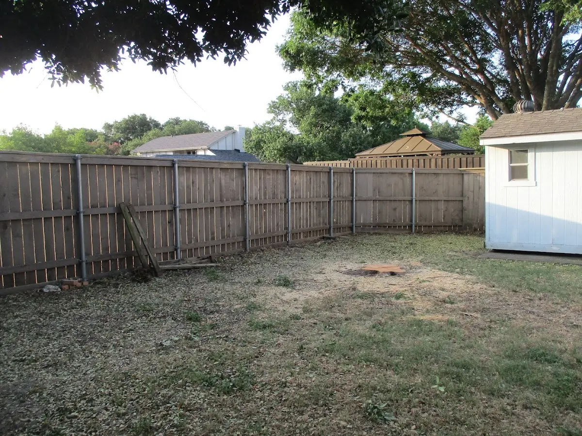 Cleared yard after professional tree removal in Swisshome